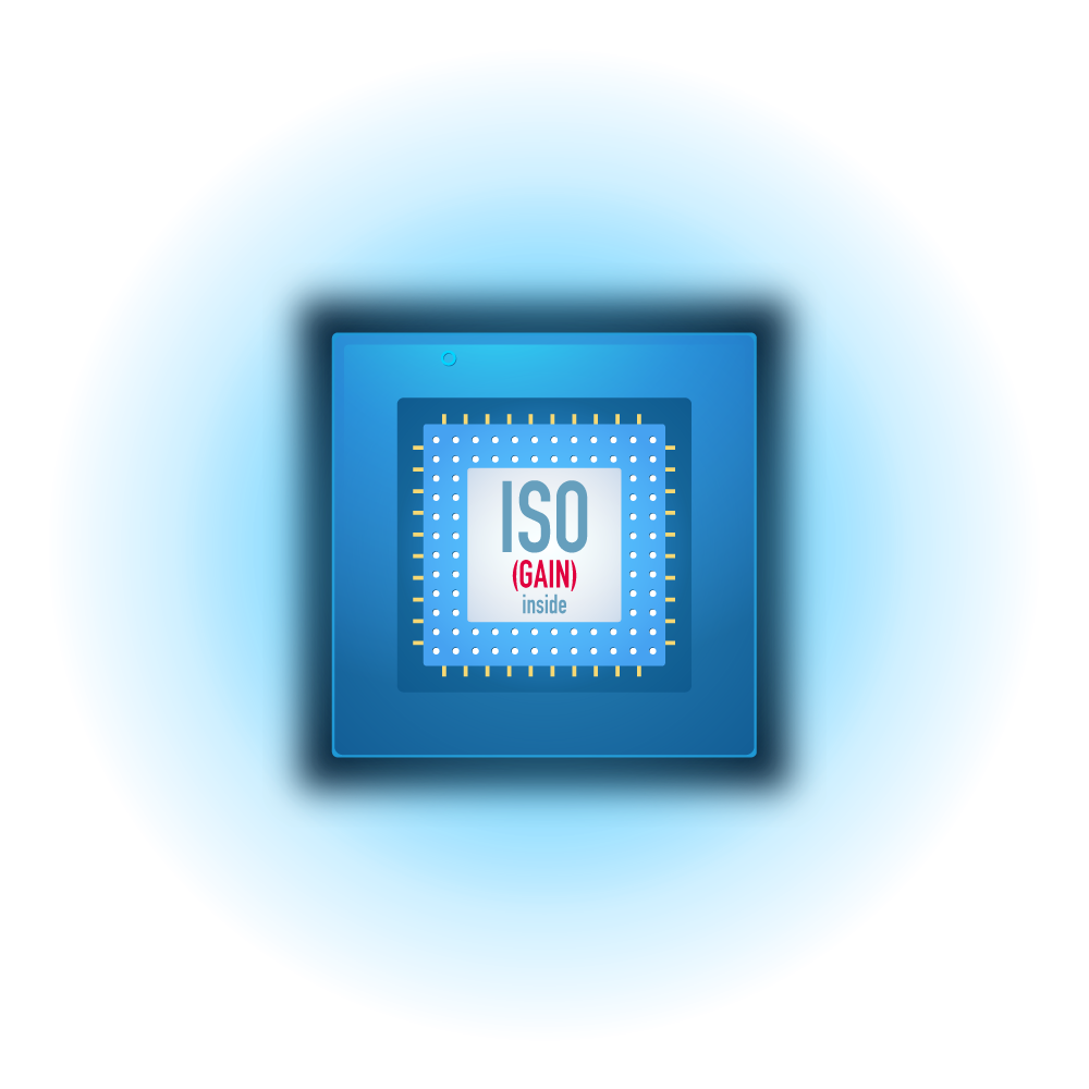 ISO is the gain that is applied by the processor of your camera