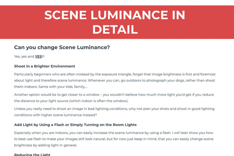 can you change scene luminance