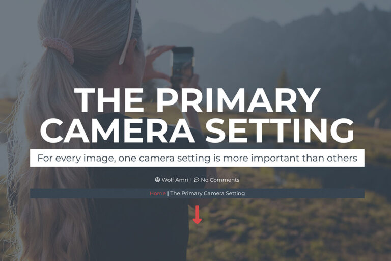 the primary camera setting