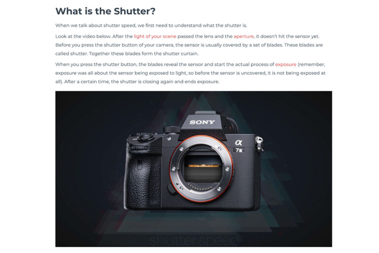 what is the shutter in a camera?